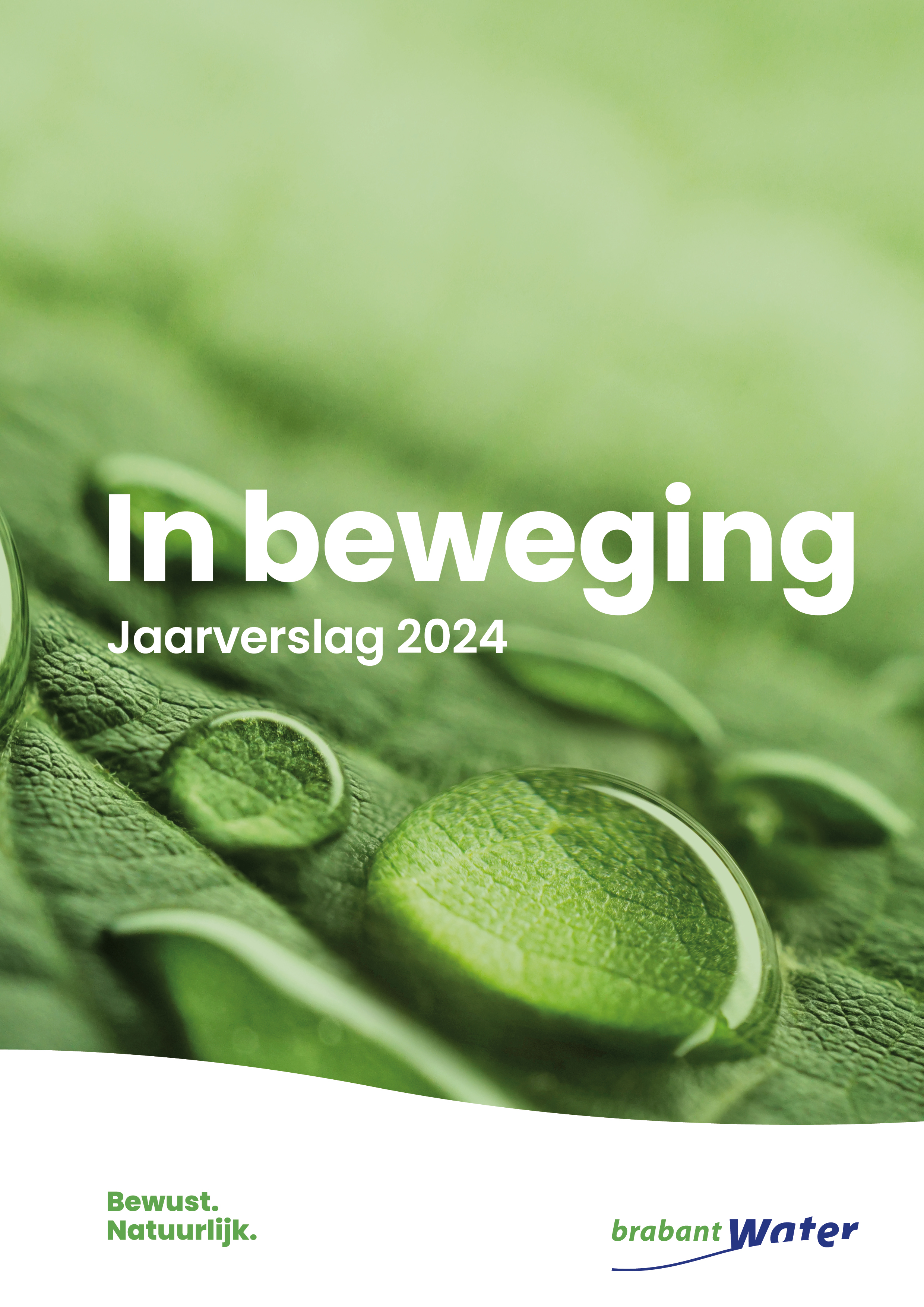 cover jaarverslag 2024