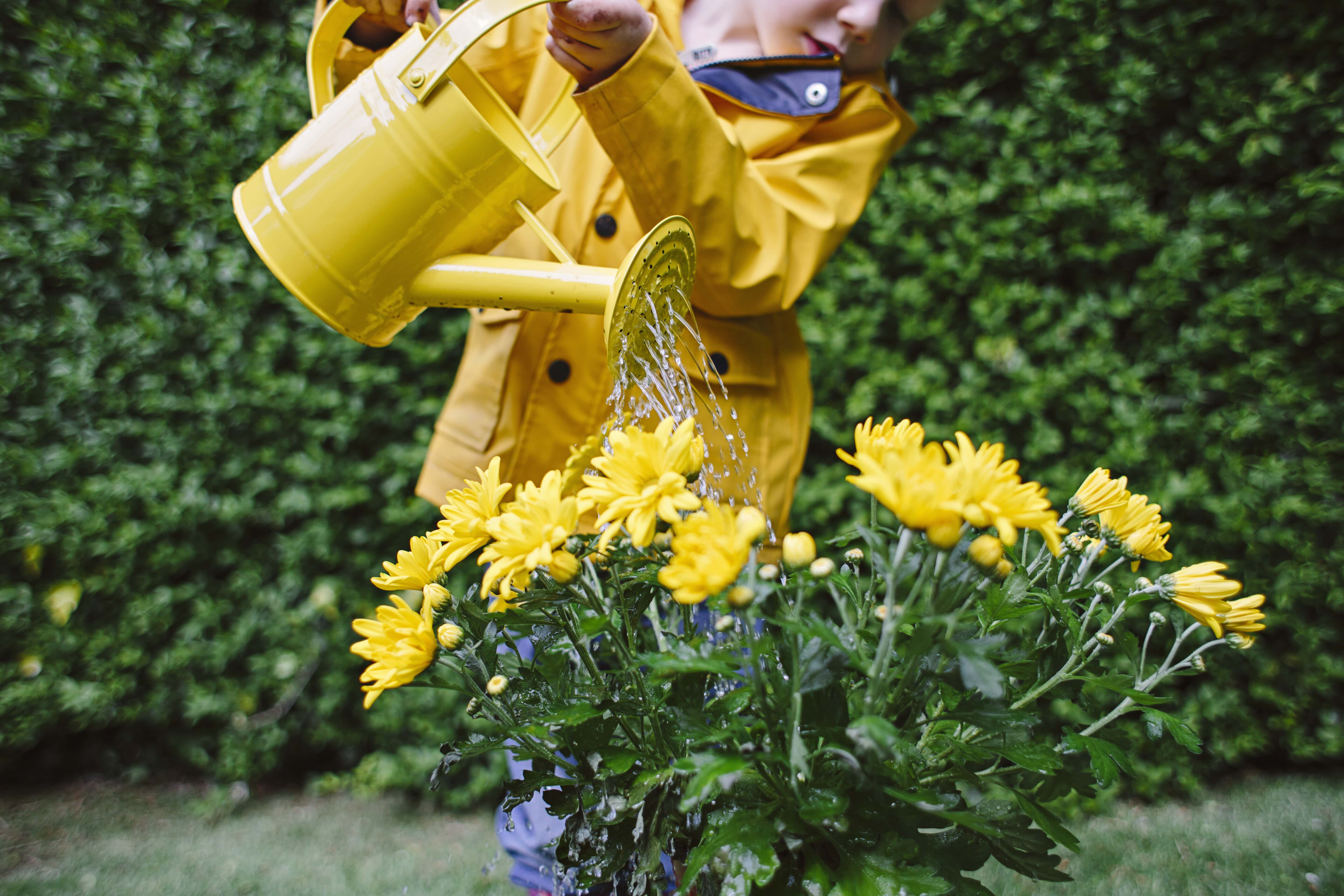 kind dat bloemen water geeft met gieter met regenwater