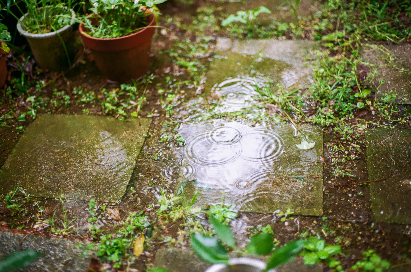 regen valt op tegel in de tuin