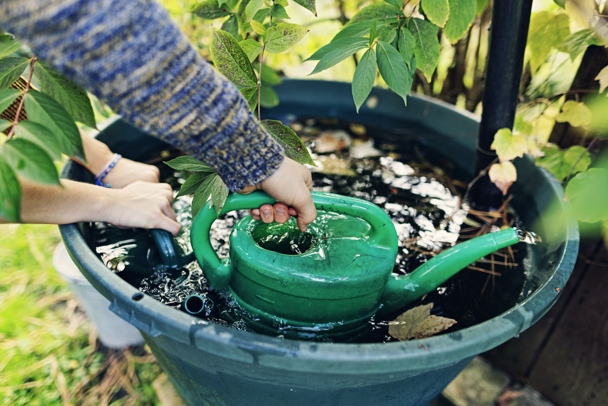 Gieter vullen met regenwater