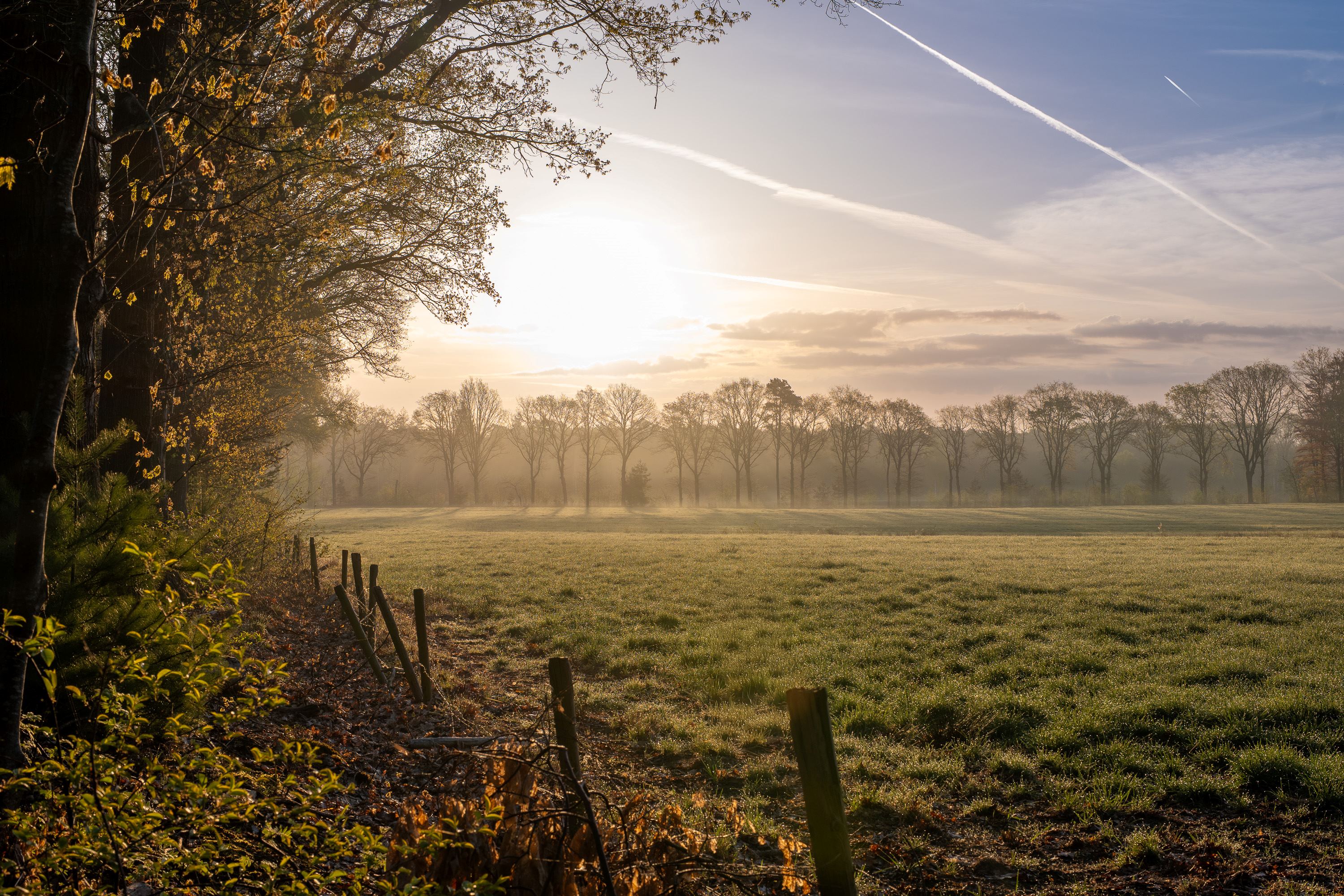 Herfst