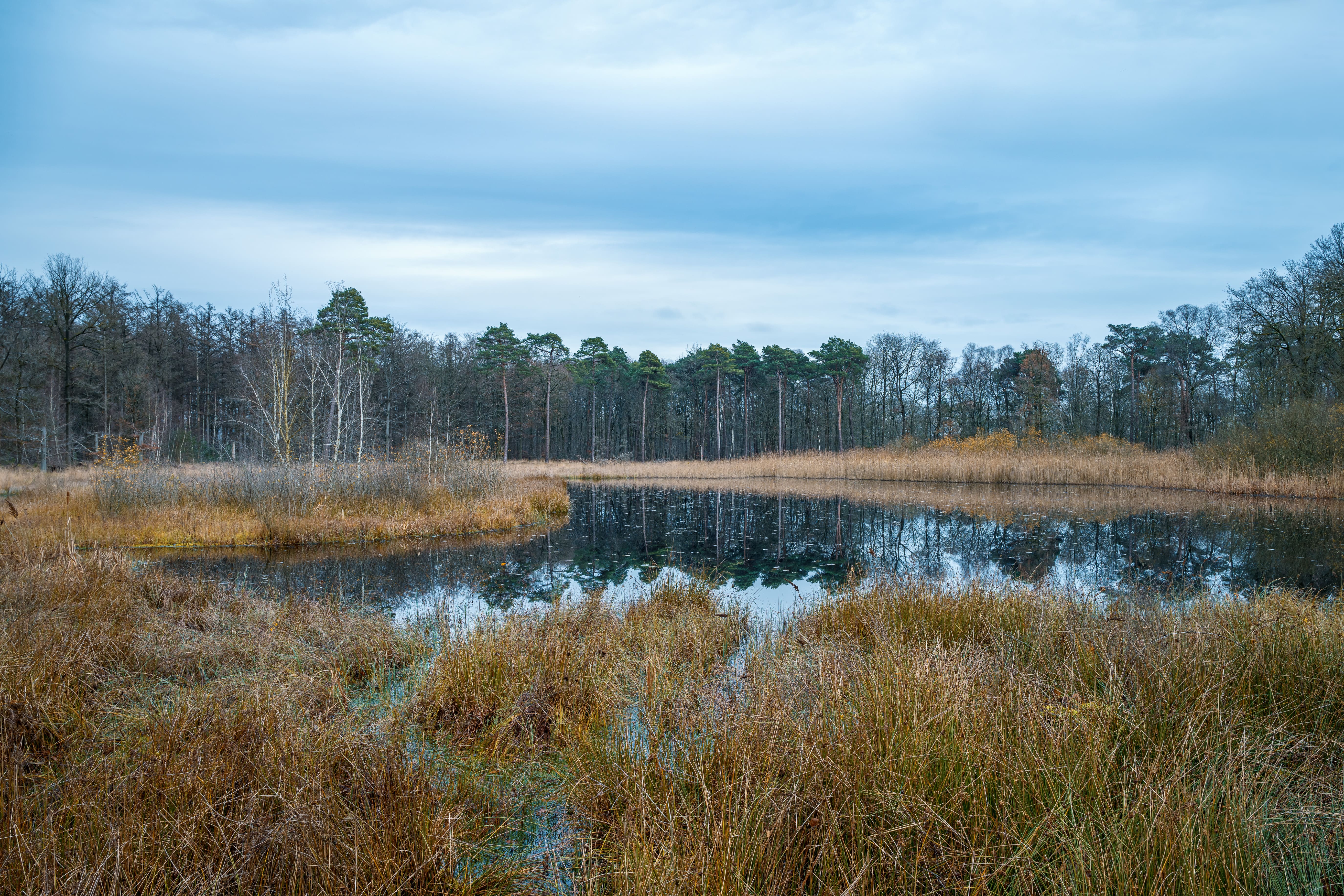 Drinkwaterlandschap de Groote Heide