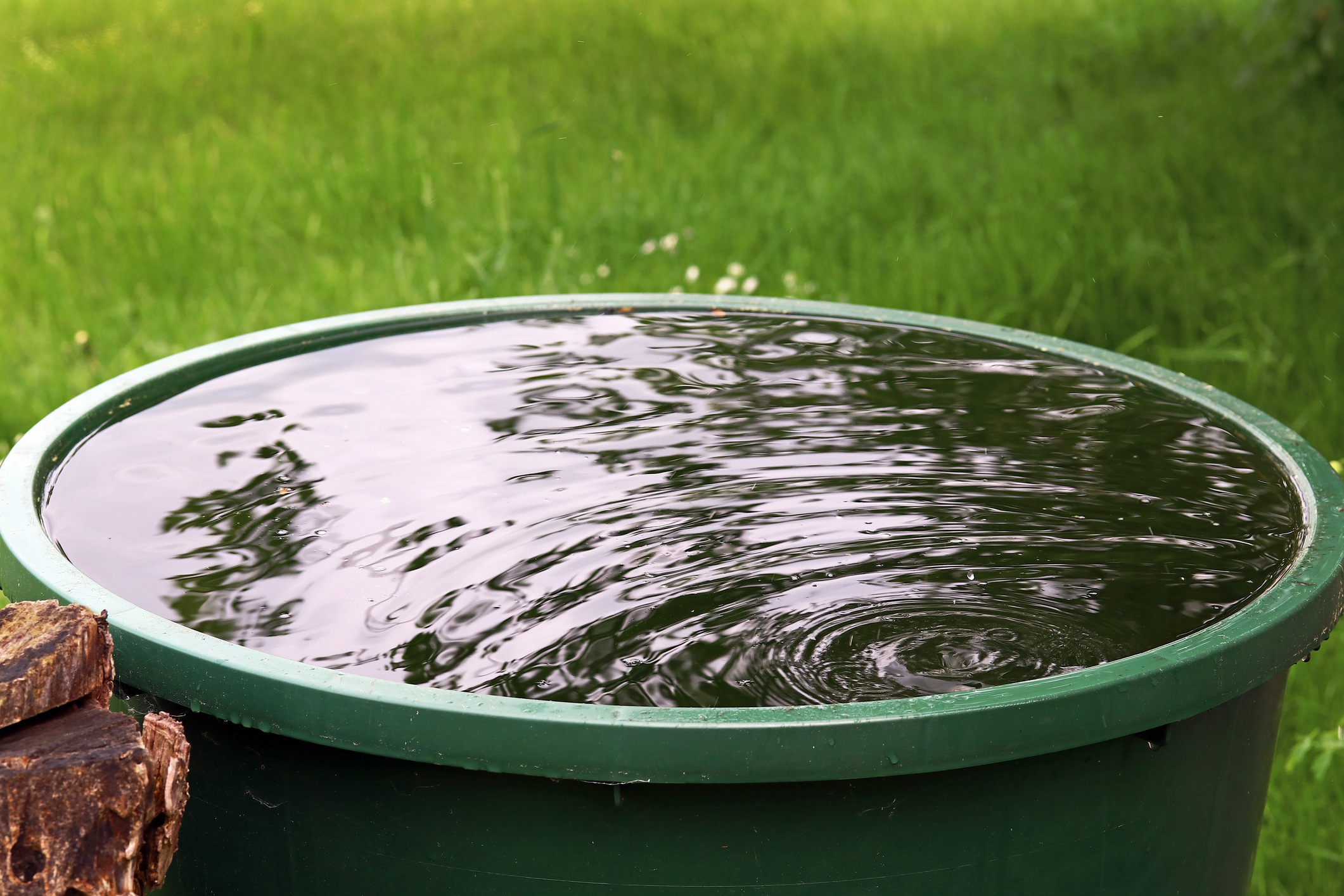 bak met opgevangen regenwater