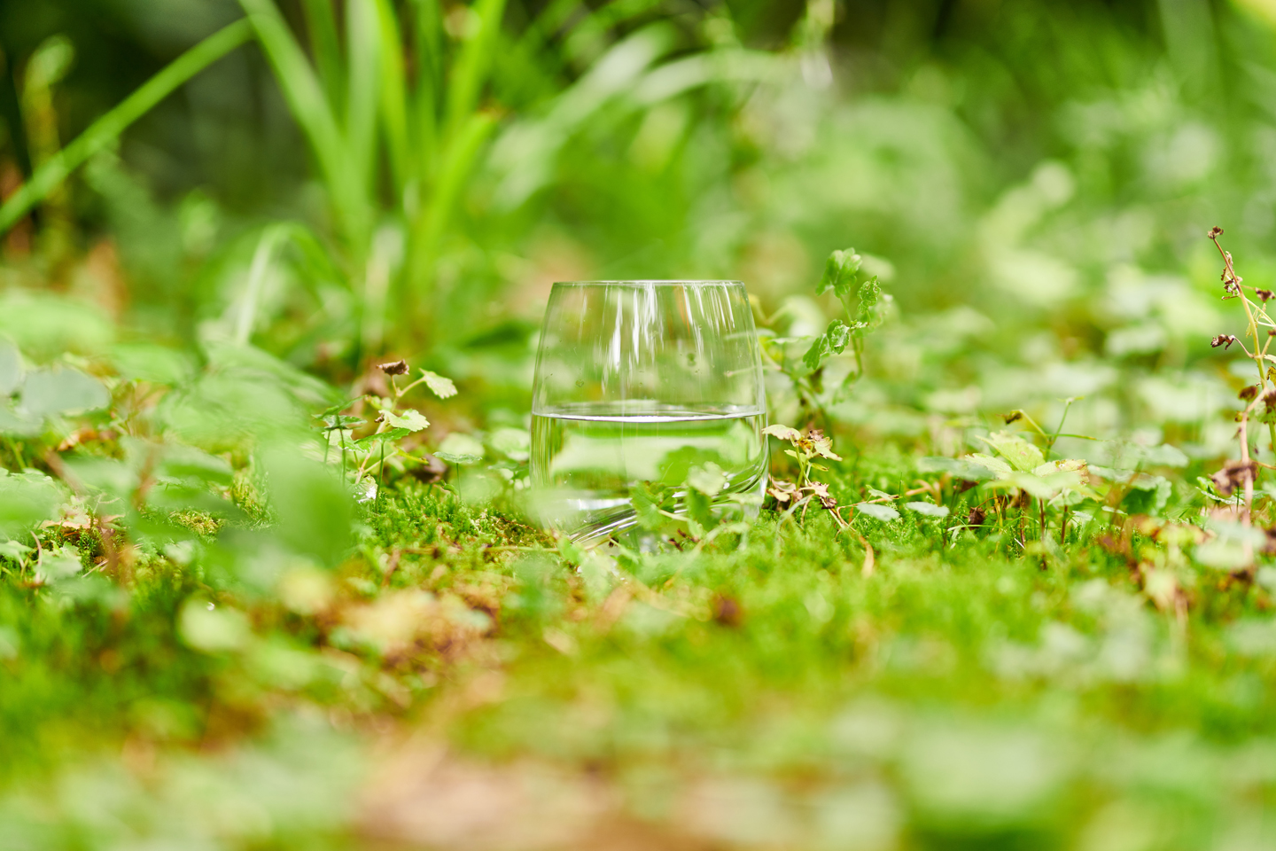 glas water in groene natuur
