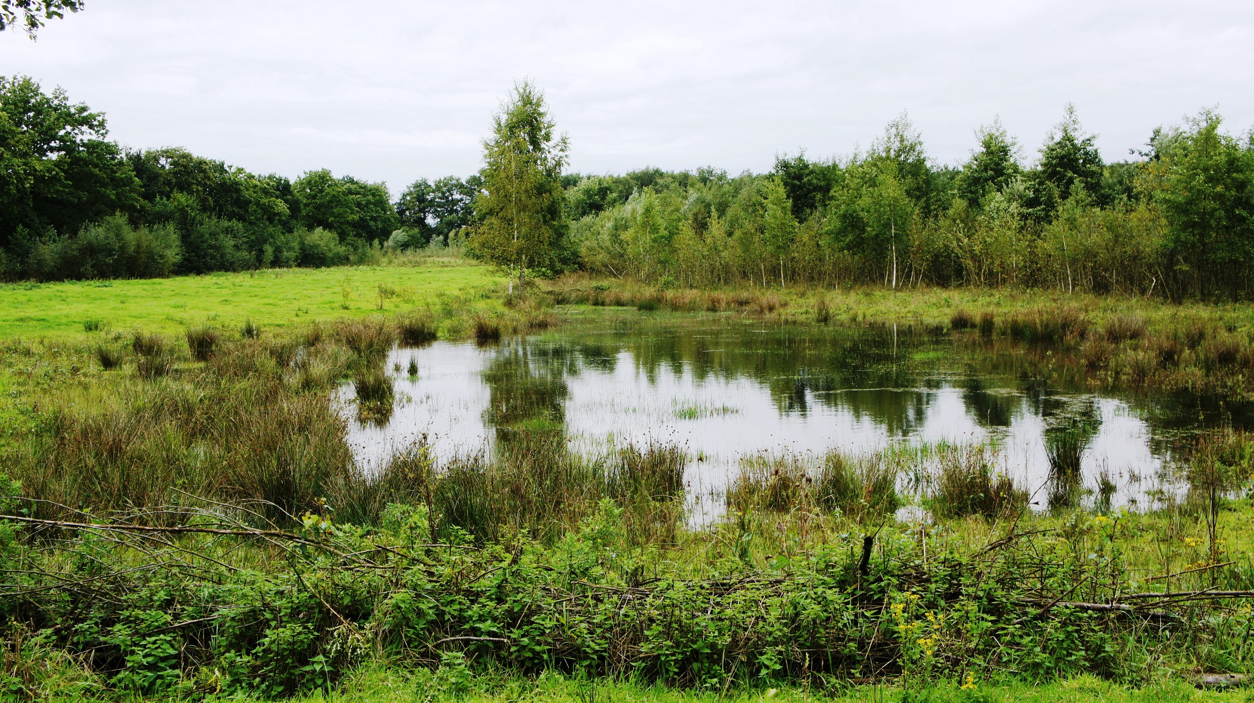 poel in waterwingebied