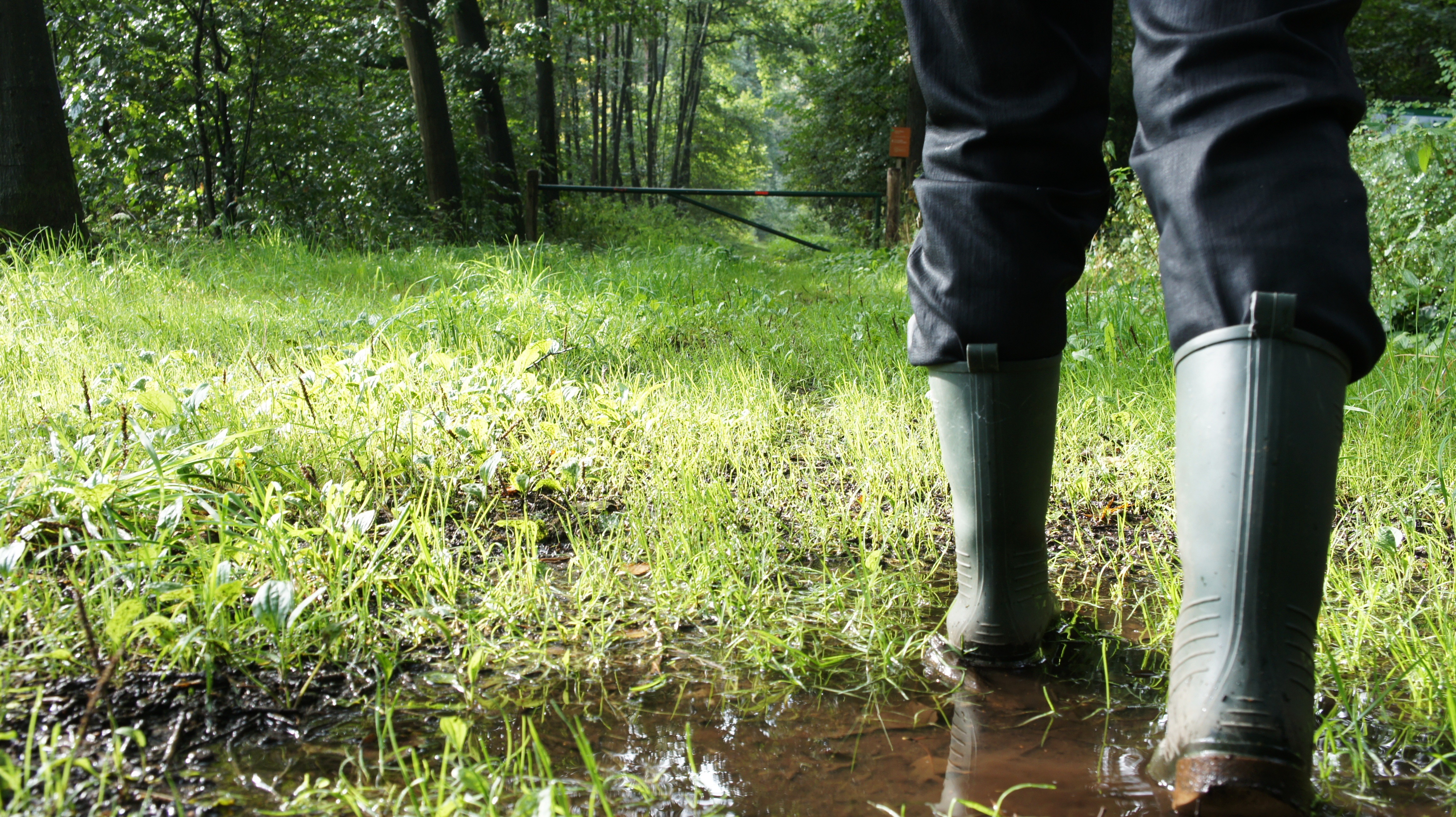 Wandelen door de natuur