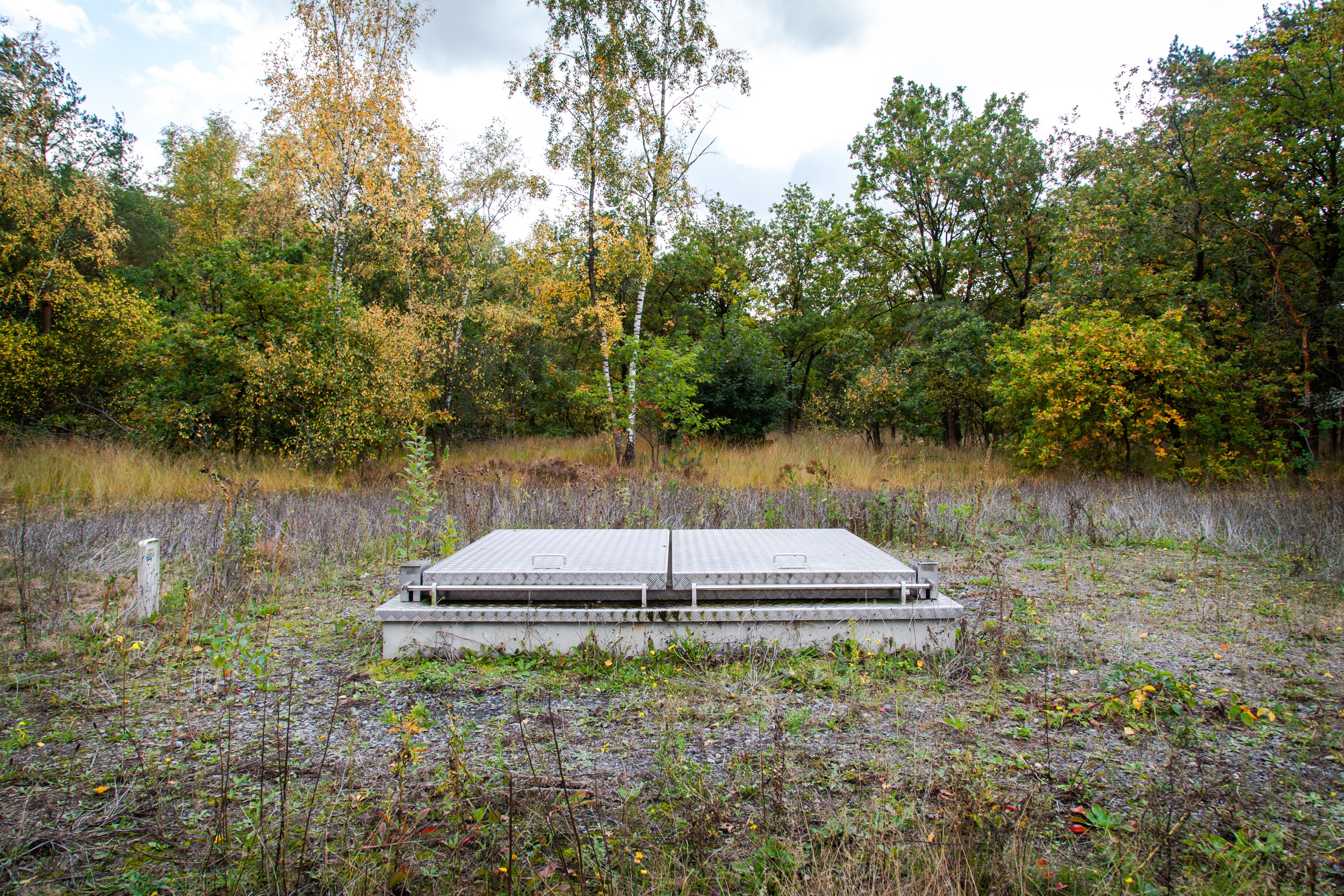 Waterput in de natuur