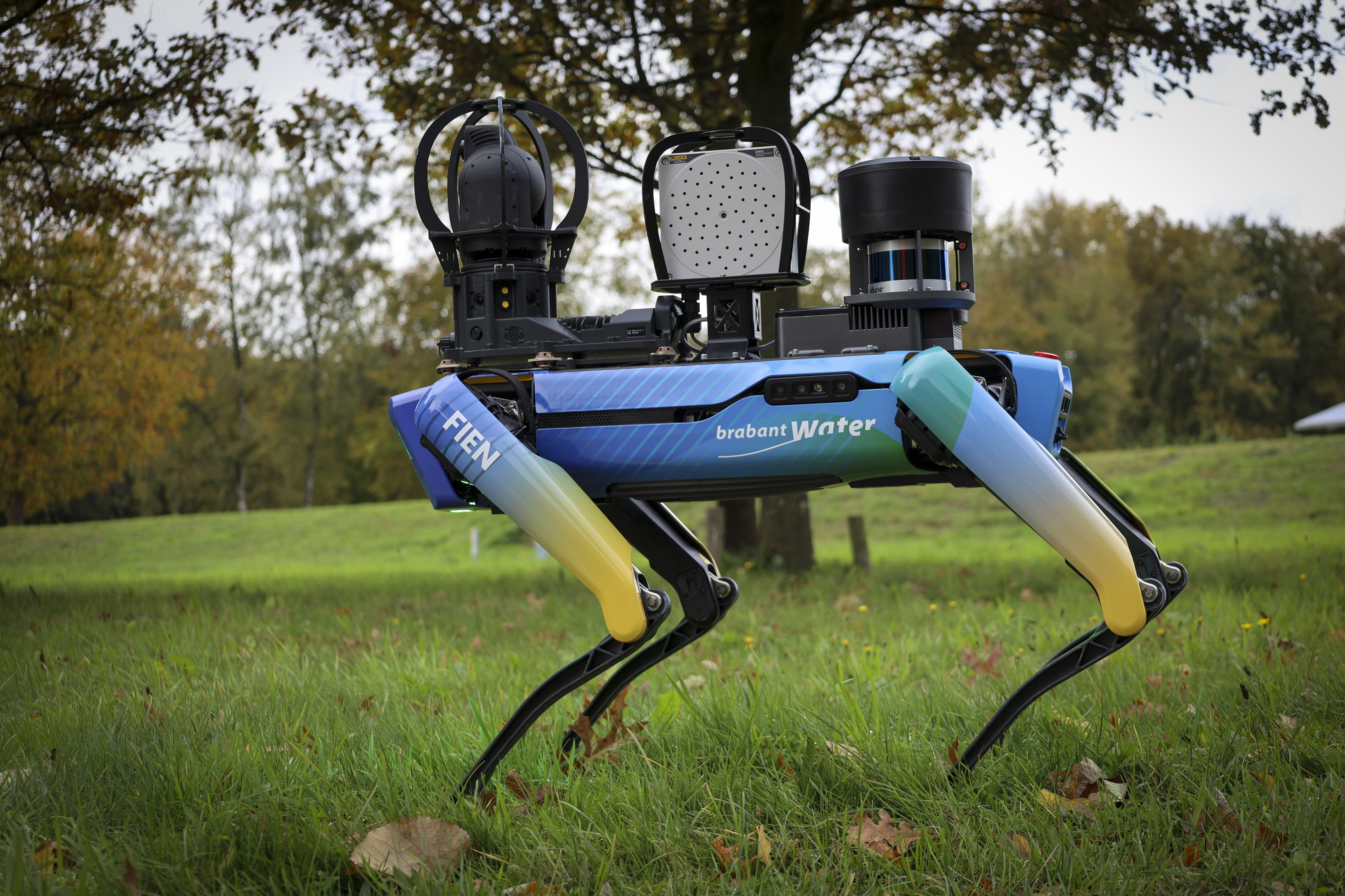 robothond fien buiten in het gras