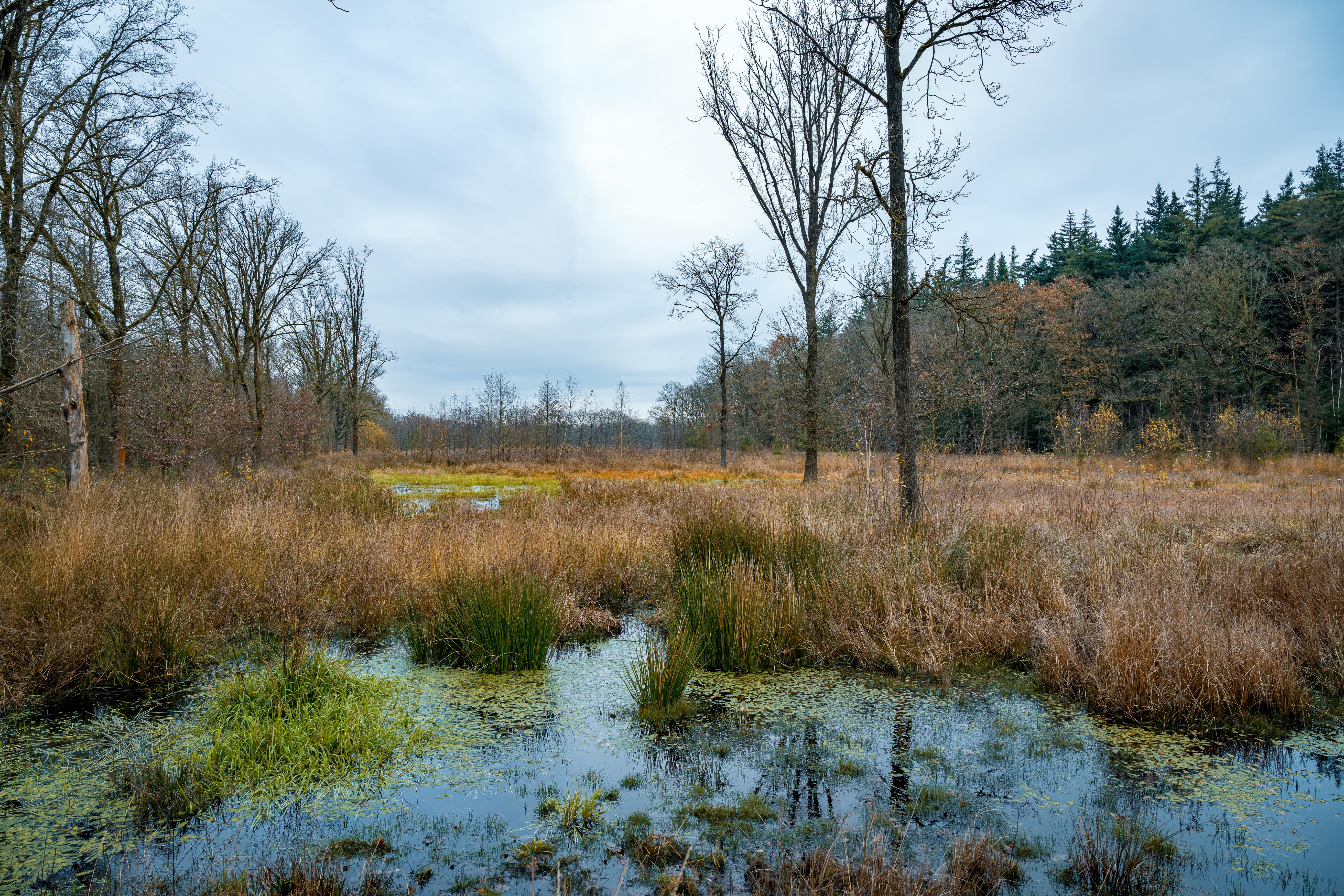 Drinkwaterlandschap Groote Heide