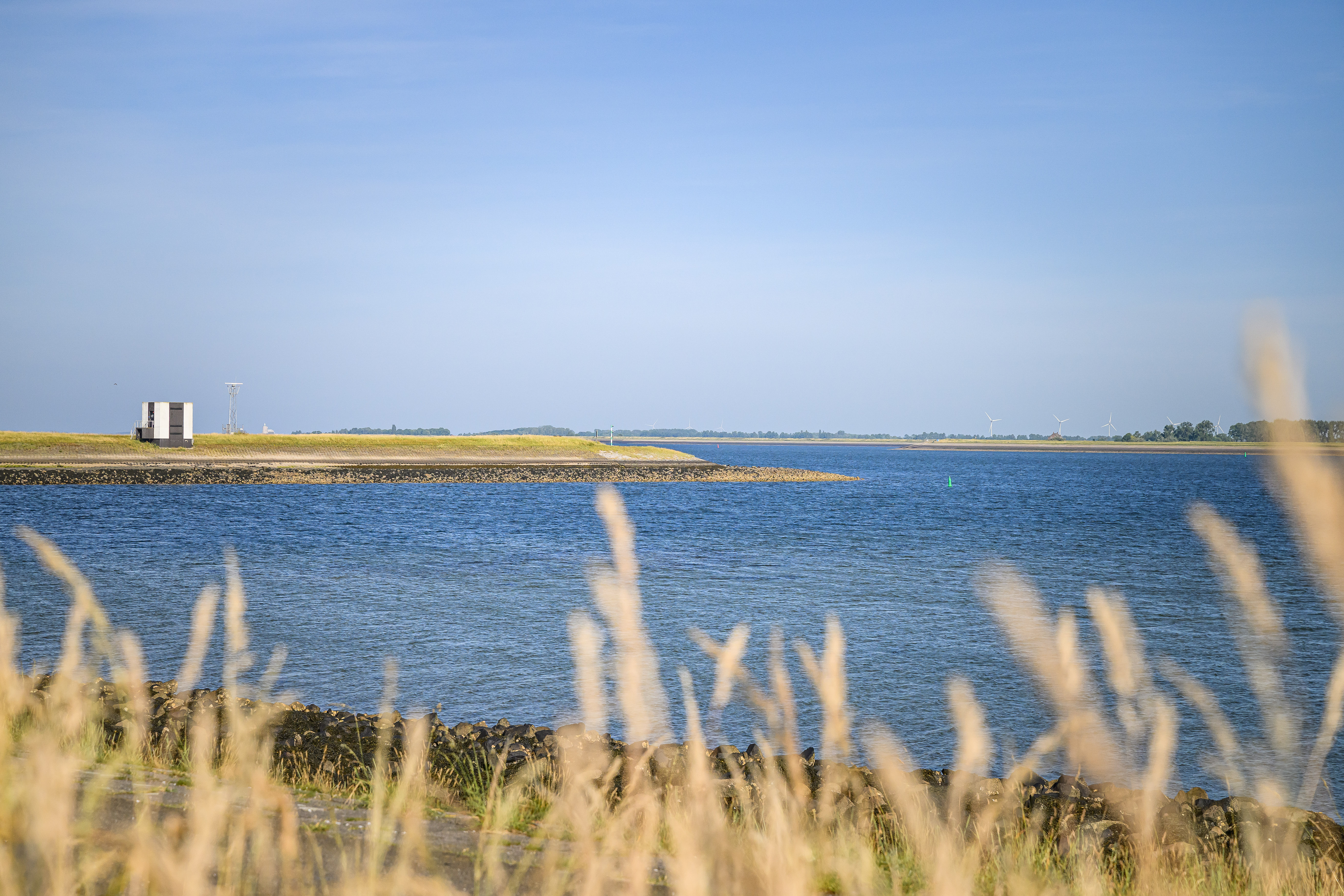 sfeerfoto zeewater in Tholen