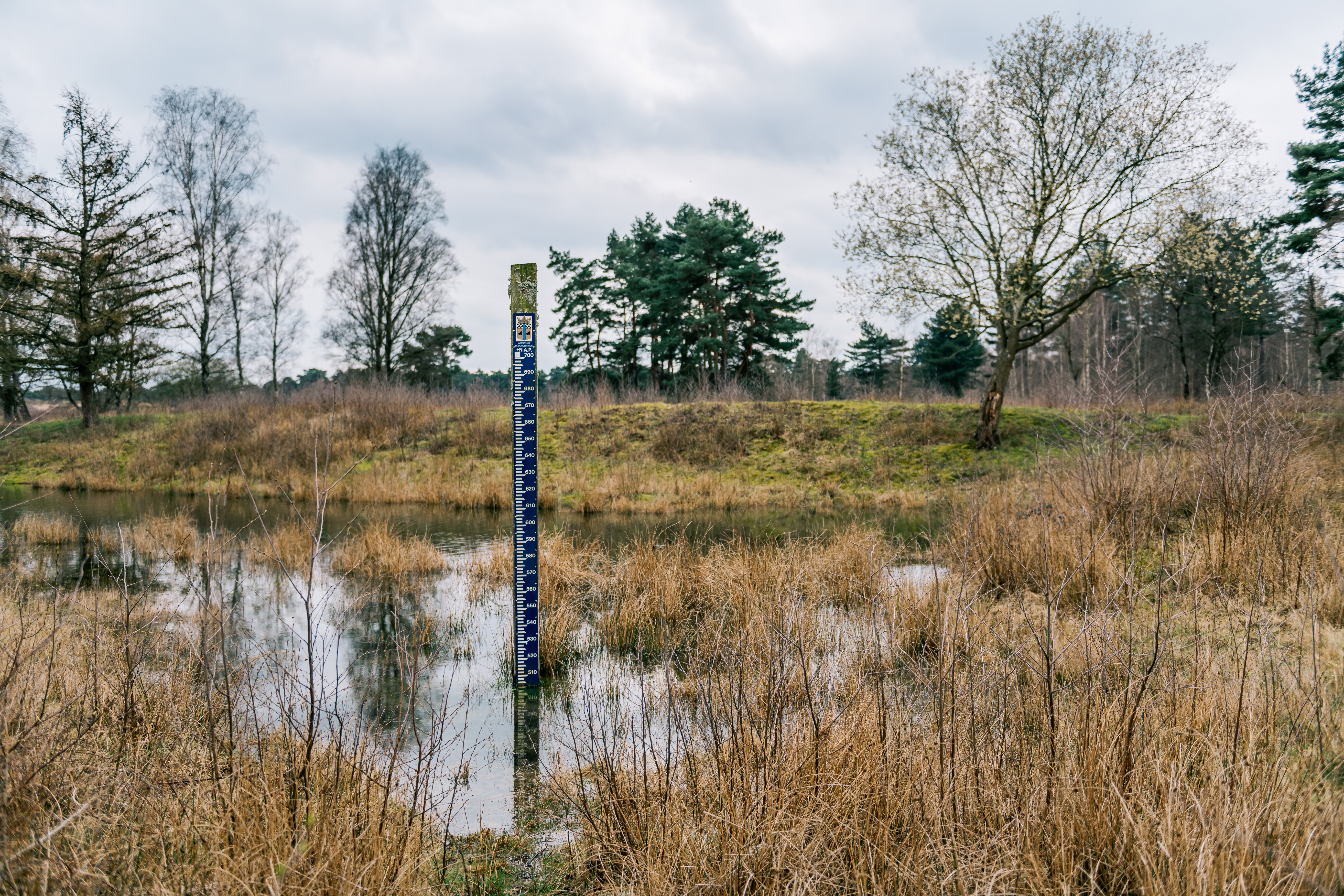 Watermeter in waterwingebied
