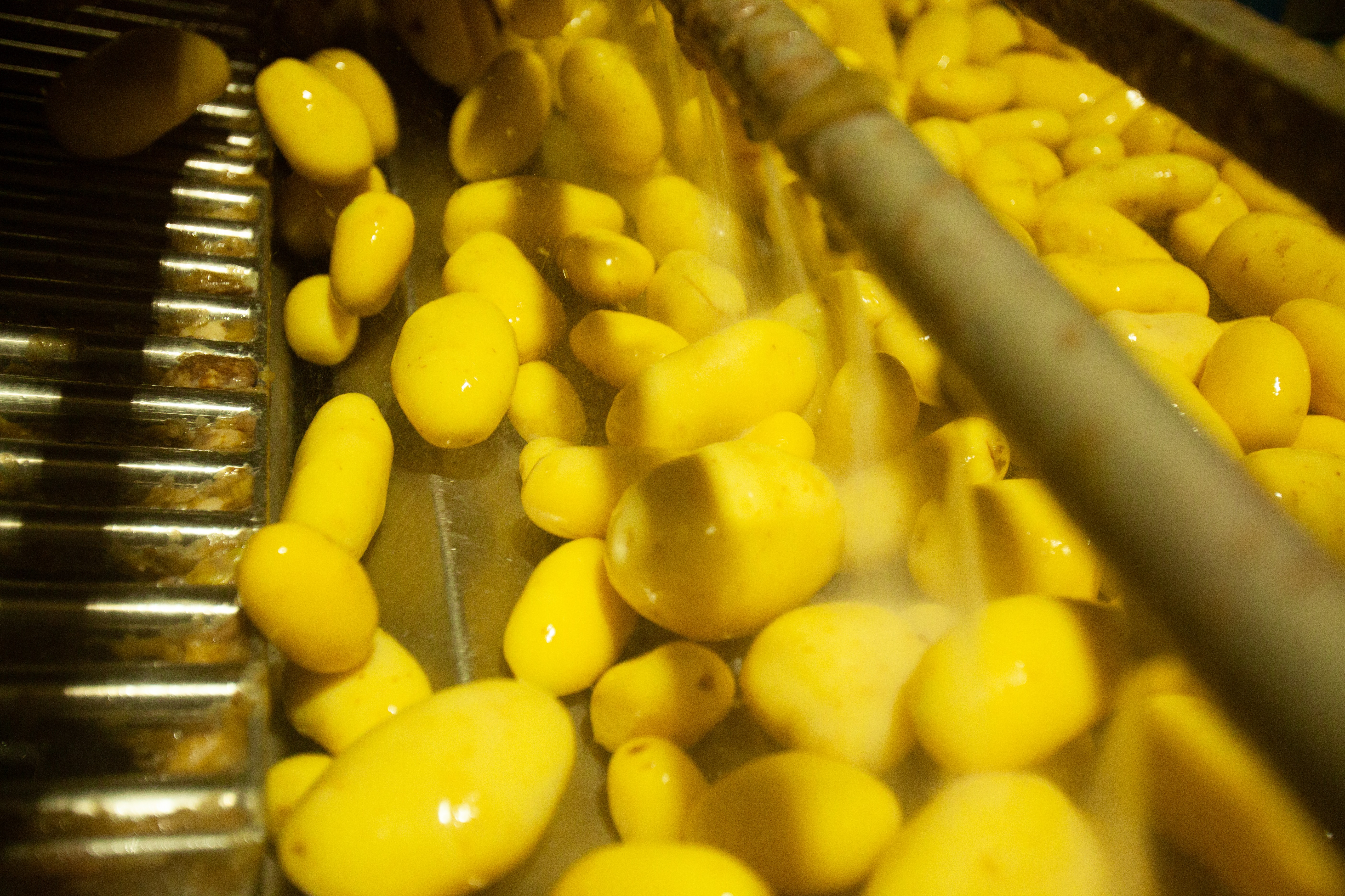 Aardappelen wassen