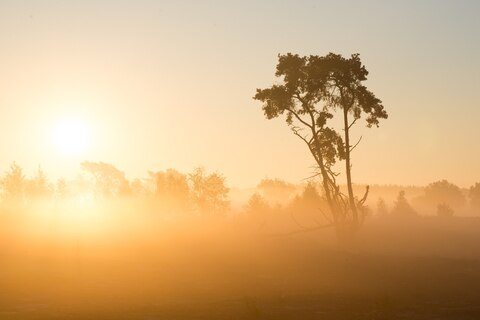 Opkomende zon in waterwingebied