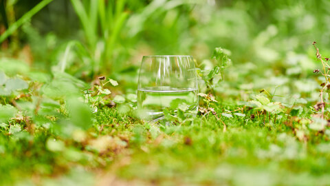 glas_water_natuur_groen