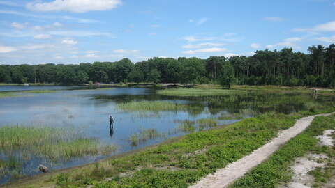 Landschap Het Grootmeer