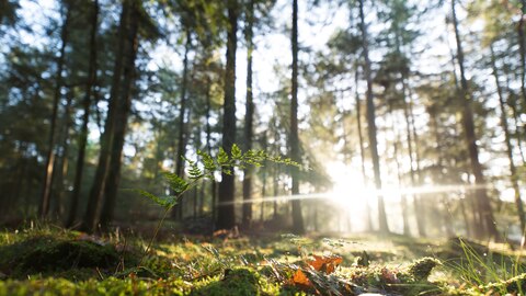 Waterwingebied Groote Heide 