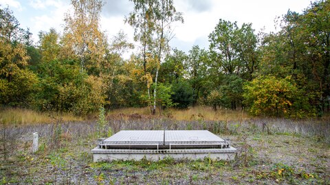 Waterput in de natuur