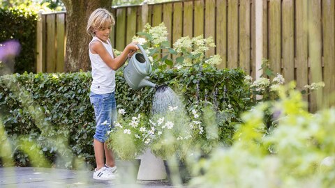 Planten water geven met een gieter