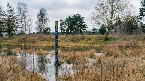 Watermeter in waterwingebied