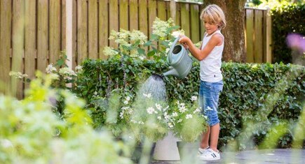 jongen geeft planten met gieter water