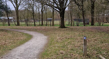 Route 