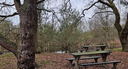 picknicktafels