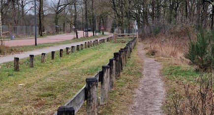 langs de weg 
