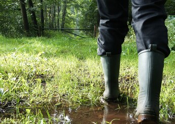Laarzen in de natuur