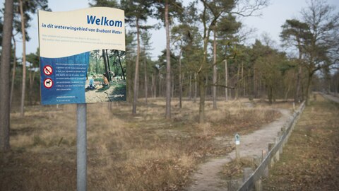 Bordje waterwingebied