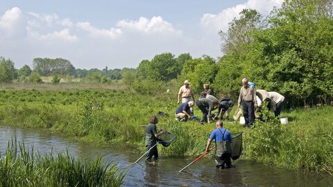 Onderzoek in de Kaaistoep