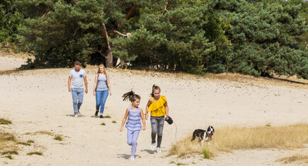 gezin wandelt in natuur