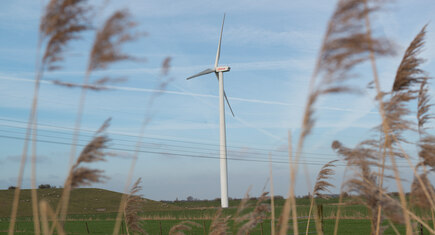 Windmolen