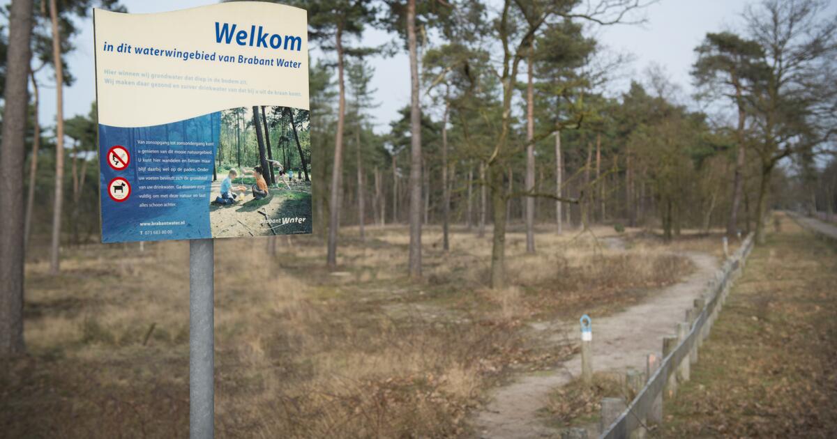 Adresgegevens Brabant Water Brabant Water Bewust Natuurlijk
